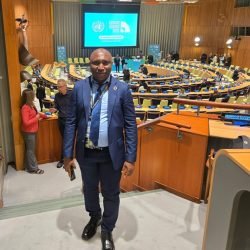 ED at UN Summit