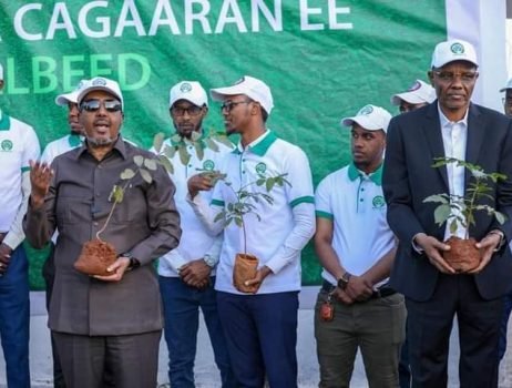 President_Somalia-t5